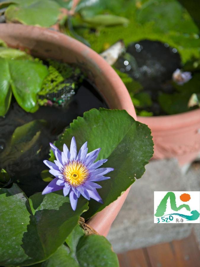 3520 Homestay T'ai-tung Εξωτερικό φωτογραφία